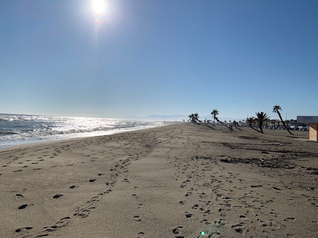 Plage Palmiers
